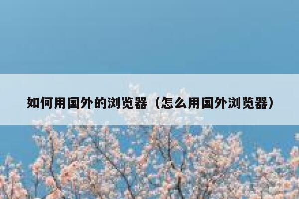 如何用国外的浏览器(怎么用国外浏览器) 第1张 如何用国外的浏览器(怎么用国外浏览器) 第1张