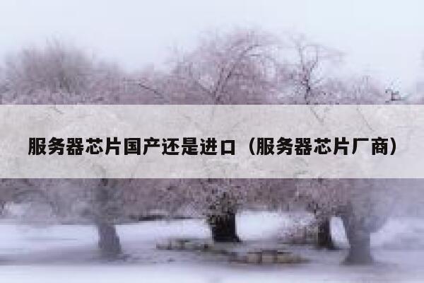 服务器芯片国产还是进口（服务器芯片厂商） 第1张