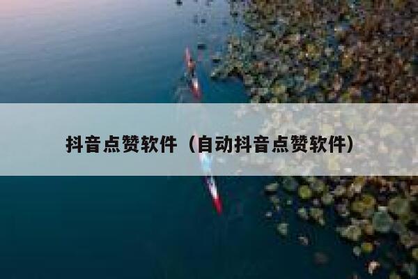 抖音点赞软件（自动抖音点赞软件） 第1张