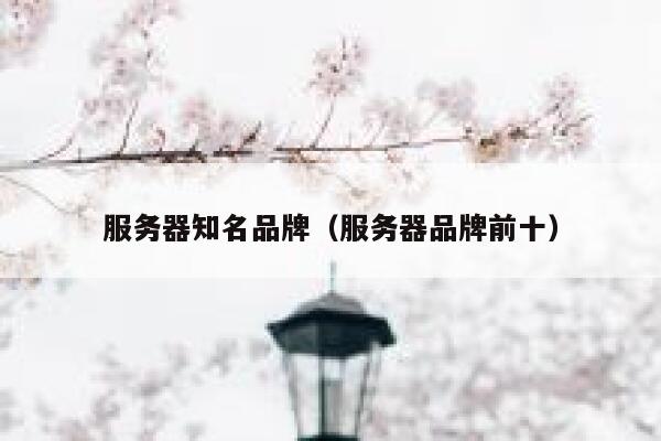 服务器知名品牌（服务器品牌前十） 第1张