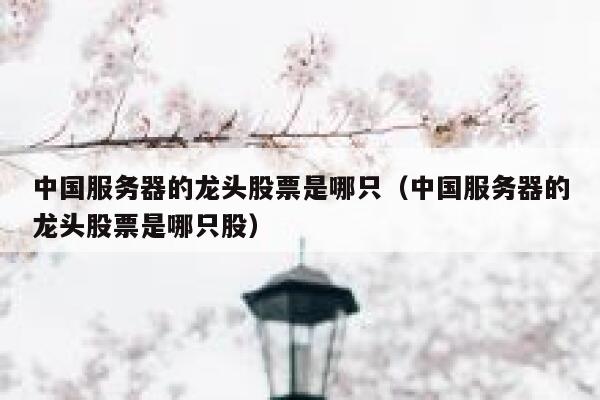 中国服务器的龙头股票是哪只（中国服务器的龙头股票是哪只股） 第1张