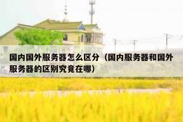 国内国外服务器怎么区分（国内服务器和国外服务器的区别究竟在哪） 第1张