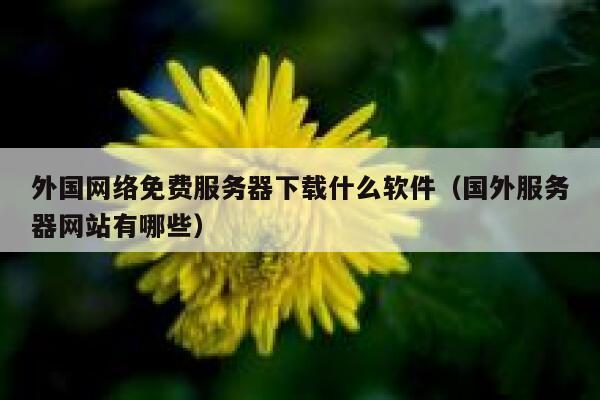 外国网络免费服务器下载什么软件（国外服务器网站有哪些） 第1张