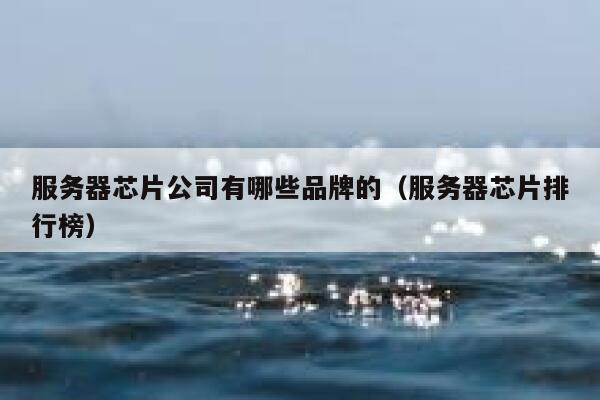 服务器芯片公司有哪些品牌的（服务器芯片排行榜） 第1张