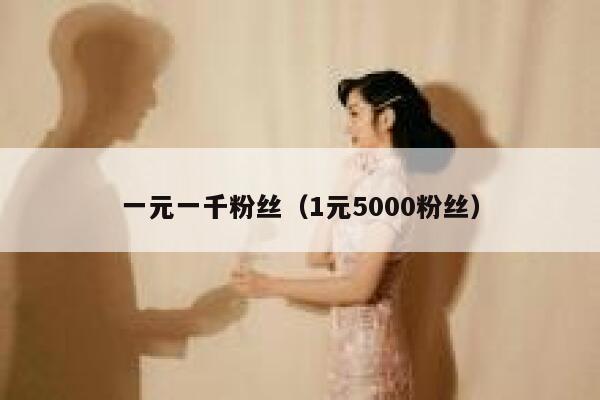 一元一千粉丝（1元5000粉丝） 第1张