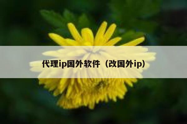 代理ip国外软件（改国外ip） 第1张