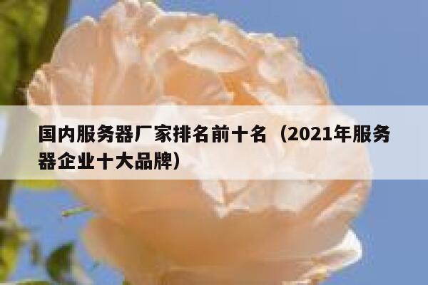 国内服务器厂家排名前十名（2021年服务器企业十大品牌） 第1张
