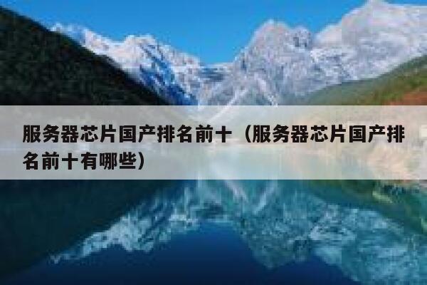 服务器芯片国产排名前十（服务器芯片国产排名前十有哪些） 第1张