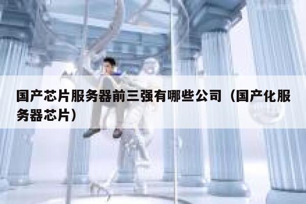 国产芯片服务器前三强有哪些公司（国产化服务器芯片） 第1张