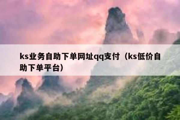 ks业务自助下单网址qq支付（ks低价自助下单平台） 第1张