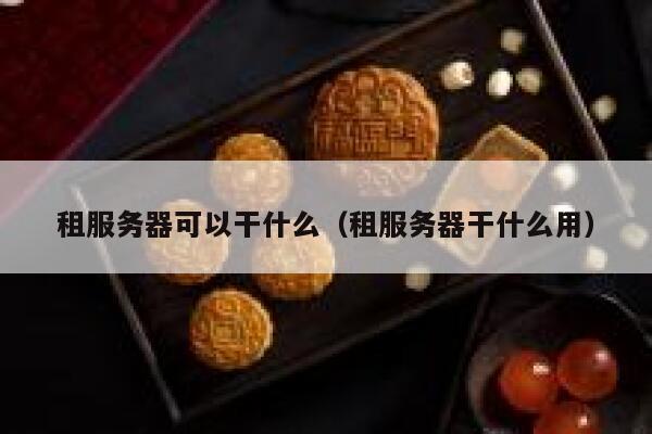 租服务器可以干什么（租服务器干什么用） 第1张