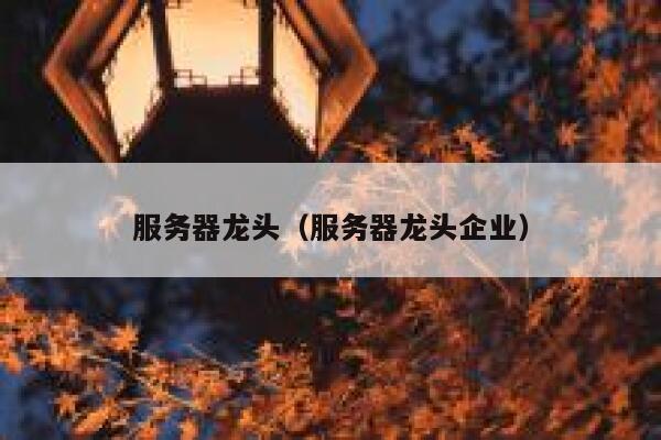 服务器龙头（服务器龙头企业） 第1张