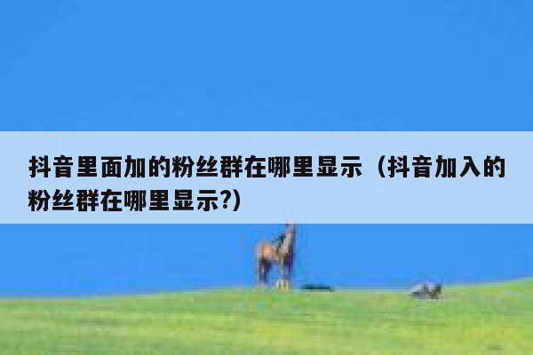 抖音里面加的粉丝群在哪里显示（抖音加入的粉丝群在哪里显示?） 第1张
