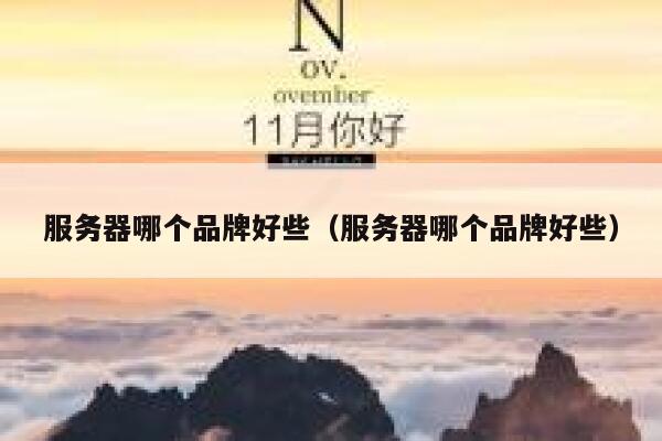 服务器哪个品牌好些（服务器哪个品牌好些） 第1张