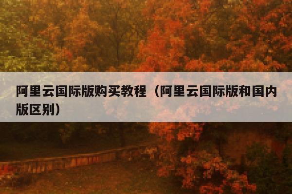阿里云国际版购买教程（阿里云国际版和国内版区别） 第1张