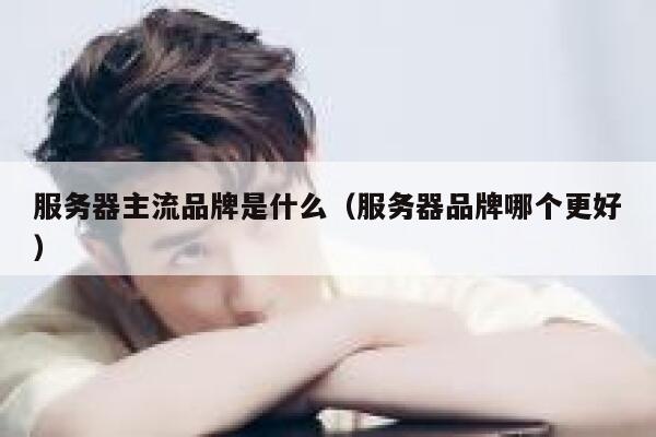 服务器主流品牌是什么（服务器品牌哪个更好） 第1张