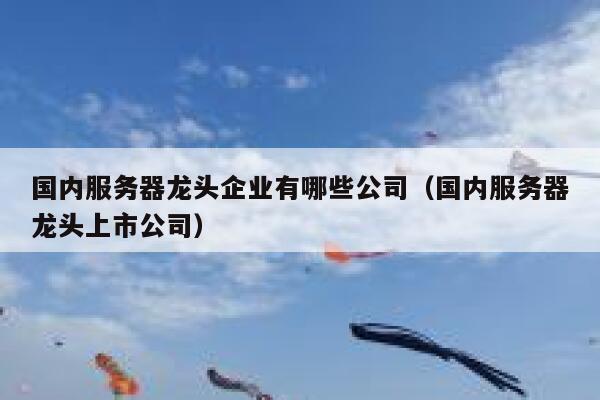 国内服务器龙头企业有哪些公司（国内服务器龙头上市公司） 第1张