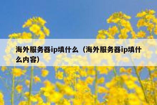 海外服务器ip填什么（海外服务器ip填什么内容） 第1张
