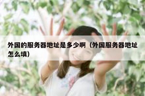 外国的服务器地址是多少啊（外国服务器地址怎么填） 第1张