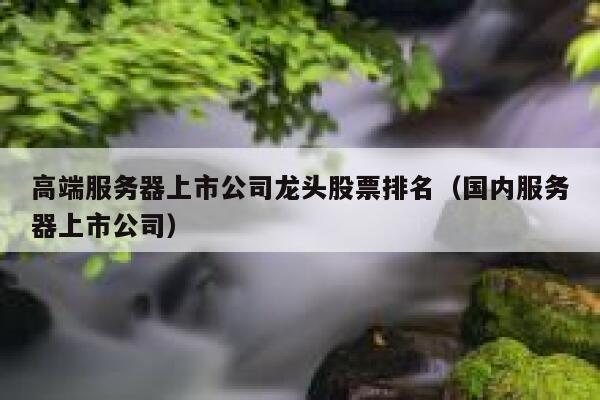 高端服务器上市公司龙头股票排名（国内服务器上市公司） 第1张