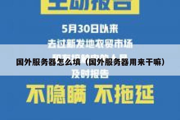 国外服务器怎么填（国外服务器用来干嘛） 第1张