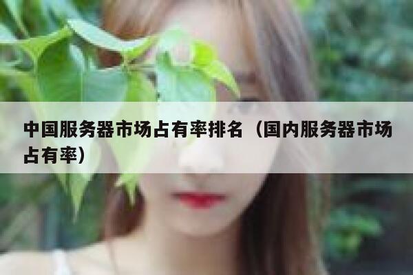 中国服务器市场占有率排名（国内服务器市场占有率） 第1张