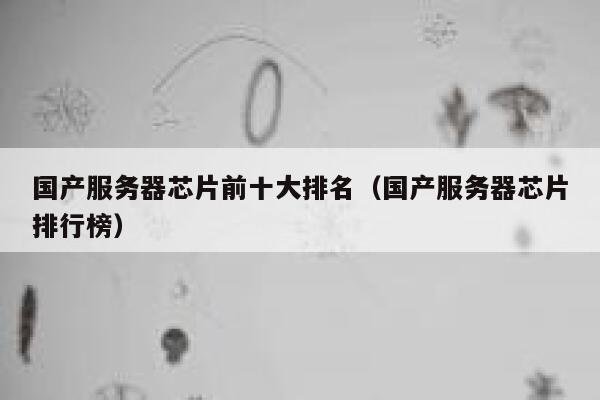 国产服务器芯片前十大排名（国产服务器芯片排行榜） 第1张