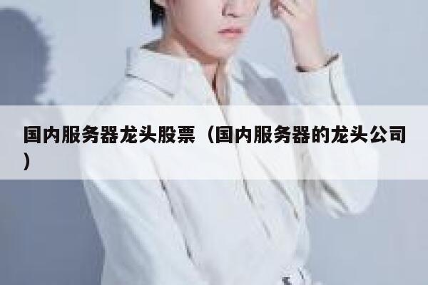 国内服务器龙头股票（国内服务器的龙头公司） 第1张