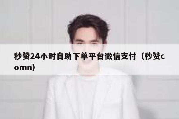 秒赞24小时自助下单平台微信支付（秒赞comn） 第1张