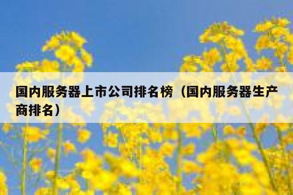 国内服务器上市公司排名榜（国内服务器生产商排名） 第1张