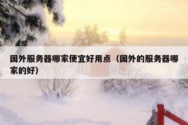 国外服务器哪家便宜好用点（国外的服务器哪家的好） 第1张