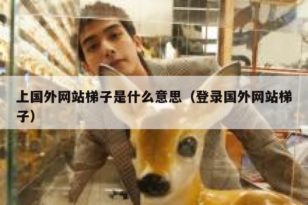 上国外网站梯子是什么意思（登录国外网站梯子） 第1张