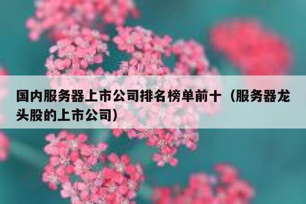 国内服务器上市公司排名榜单前十（服务器龙头股的上市公司） 第1张