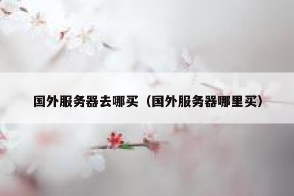 国外服务器去哪买（国外服务器哪里买） 第1张
