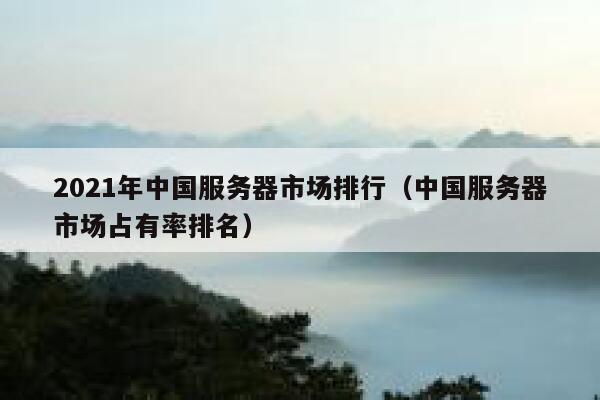 2021年中国服务器市场排行（中国服务器市场占有率排名） 第1张