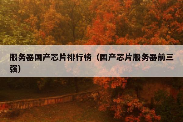 服务器国产芯片排行榜（国产芯片服务器前三强） 第1张