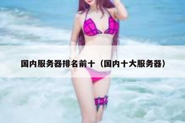 国内服务器排名前十（国内十大服务器） 第1张