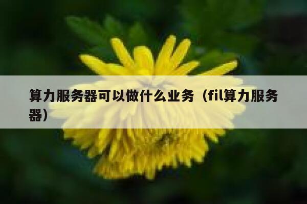 算力服务器可以做什么业务（fil算力服务器） 第1张