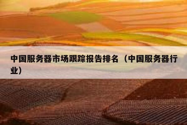 中国服务器市场跟踪报告排名（中国服务器行业） 第1张