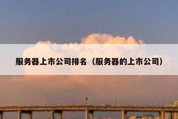 服务器上市公司排名（服务器的上市公司） 第1张