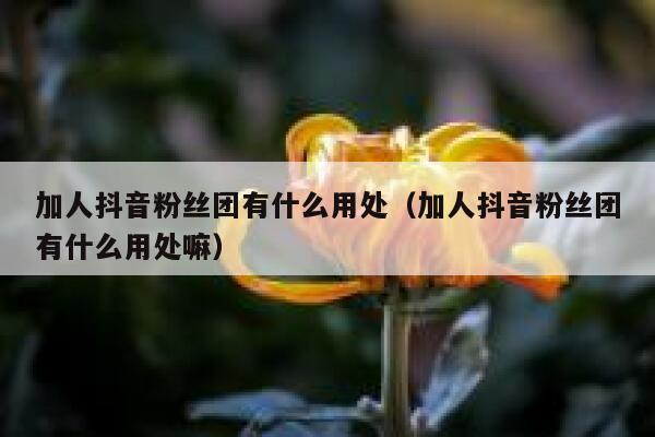 加人抖音粉丝团有什么用处（加人抖音粉丝团有什么用处嘛） 第1张