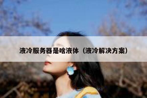 液冷服务器是啥液体（液冷解决方案） 第1张