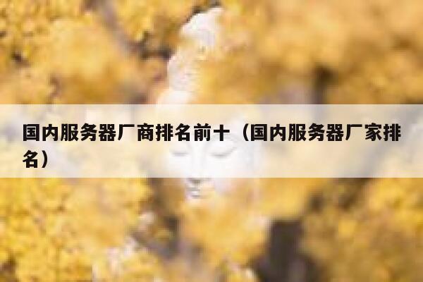 国内服务器厂商排名前十（国内服务器厂家排名） 第1张
