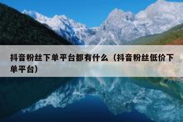 抖音粉丝下单平台都有什么（抖音粉丝低价下单平台） 第1张
