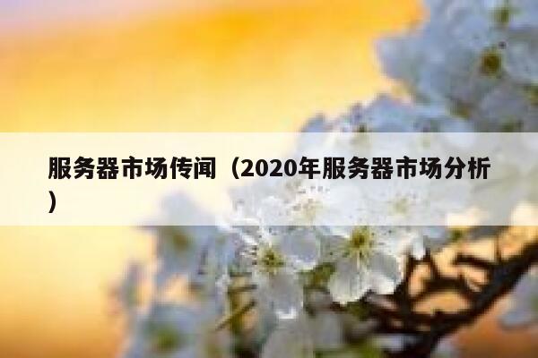 服务器市场传闻（2020年服务器市场分析） 第1张
