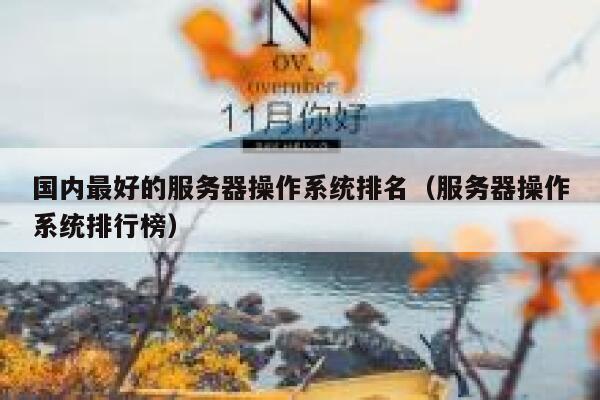 国内最好的服务器操作系统排名（服务器操作系统排行榜） 第1张