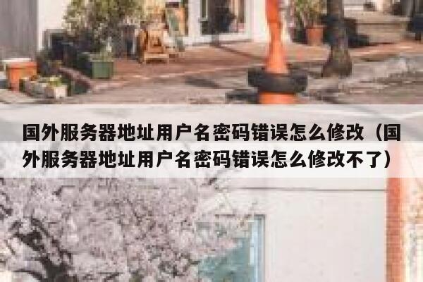 国外服务器地址用户名密码错误怎么修改（国外服务器地址用户名密码错误怎么修改不了） 第1张