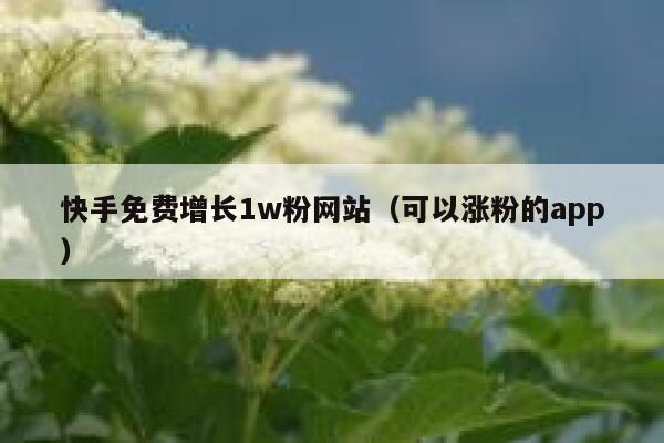 快手免费增长1w粉网站（可以涨粉的app） 第1张