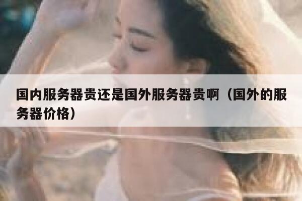 国内服务器贵还是国外服务器贵啊（国外的服务器价格） 第1张
