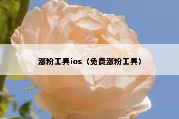 涨粉工具ios（免费涨粉工具） 第1张